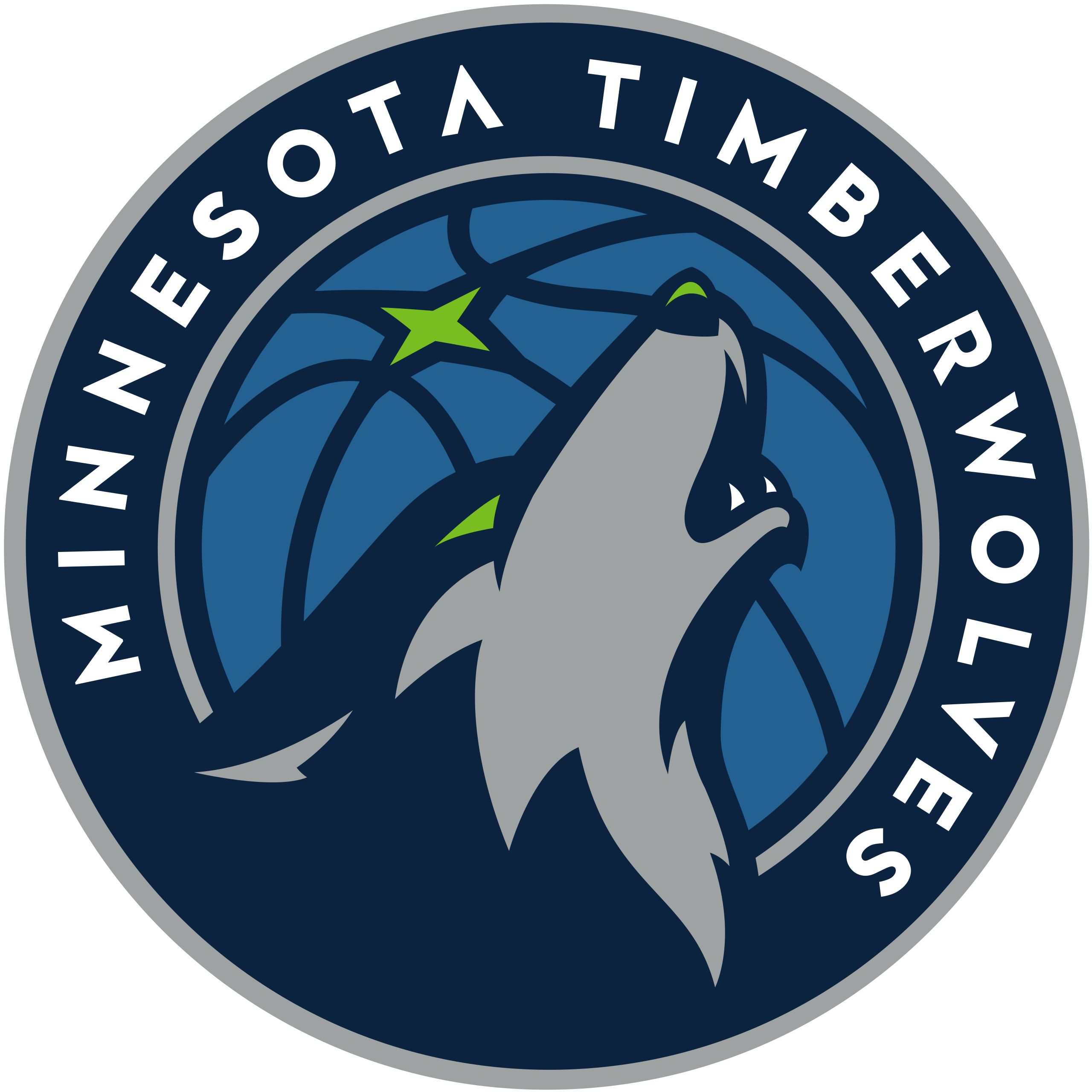  WinCraft NBA Minnesota Timberwolves Beach Towel 150x75cm :  Basketball Equipment : Sports & Outdoors