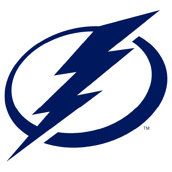 Tampa Bay Lightning 19 X 30 Alternate logo with Wordmark Starter Rug