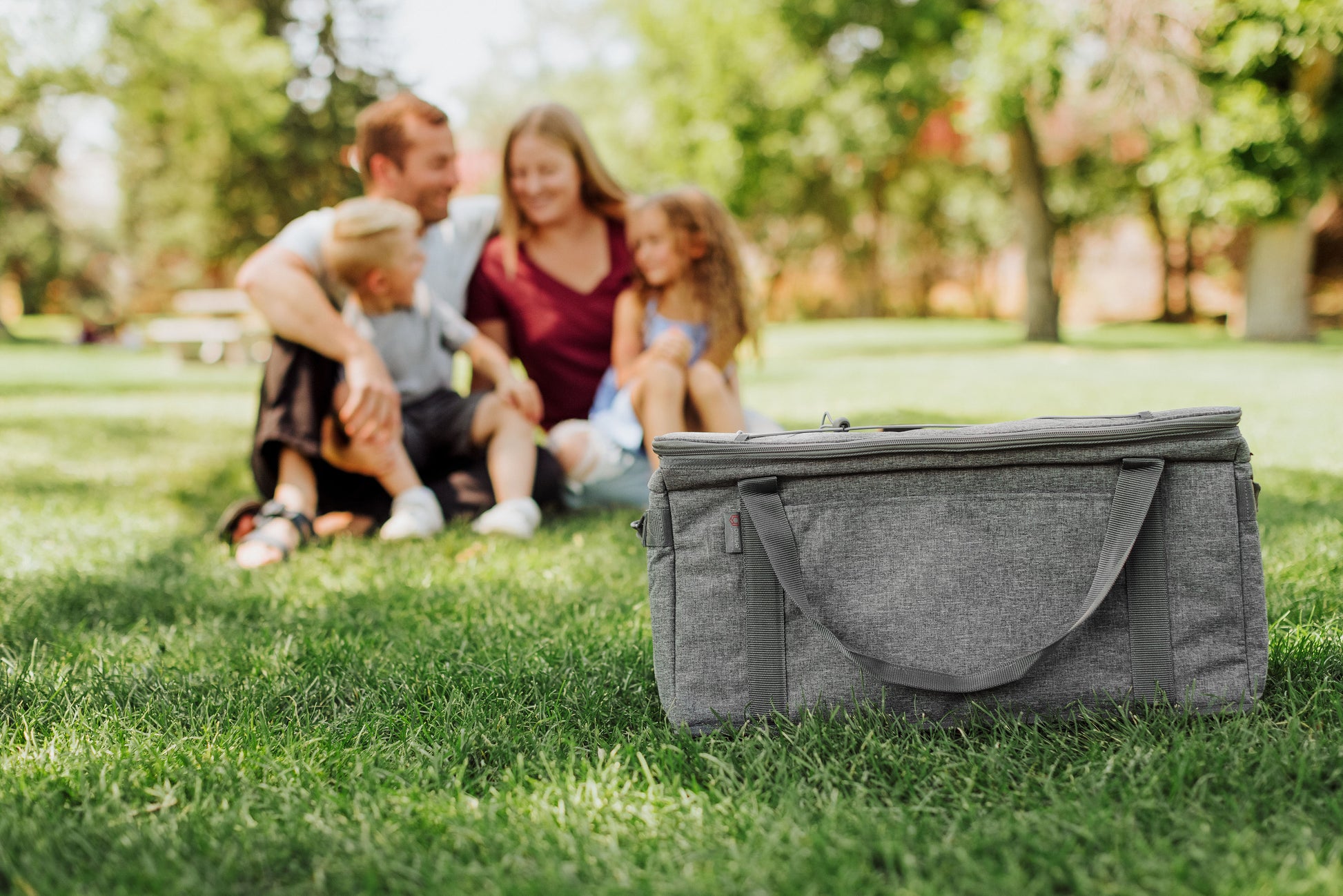 NFL Atlanta Falcons on The Go Lunch Cooler - Gray