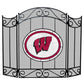 Fireplace Screen | University of Wisconsin