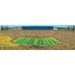 Michigan Wolverines - 1000 Piece Panoramic Jigsaw Puzzle - Center View