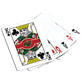 Minnesota Wild 300 Piece Poker Set