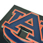 Atlanta Falcons Black Metal Hitch Cover - 3D Color Emblem