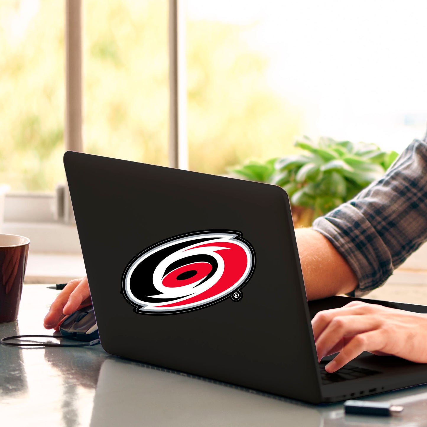 Carolina Hurricanes Matte Decal Sticker