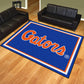 Florida Gators 8ft. x 10 ft. Plush Area Rug - "Gators" Wordmark