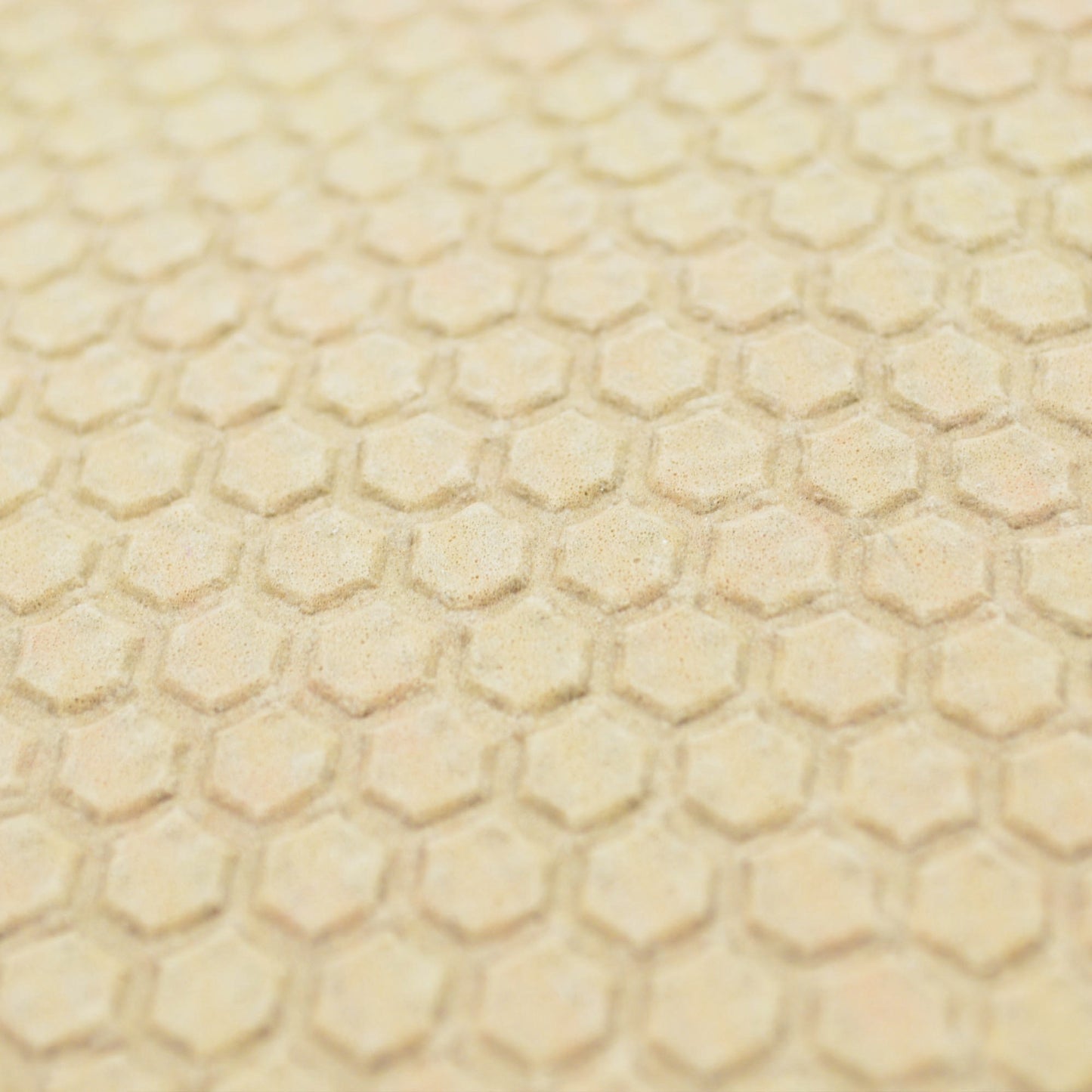 Florida Gators 8ft. x 10 ft. Plush Area Rug - "Gators" Wordmark