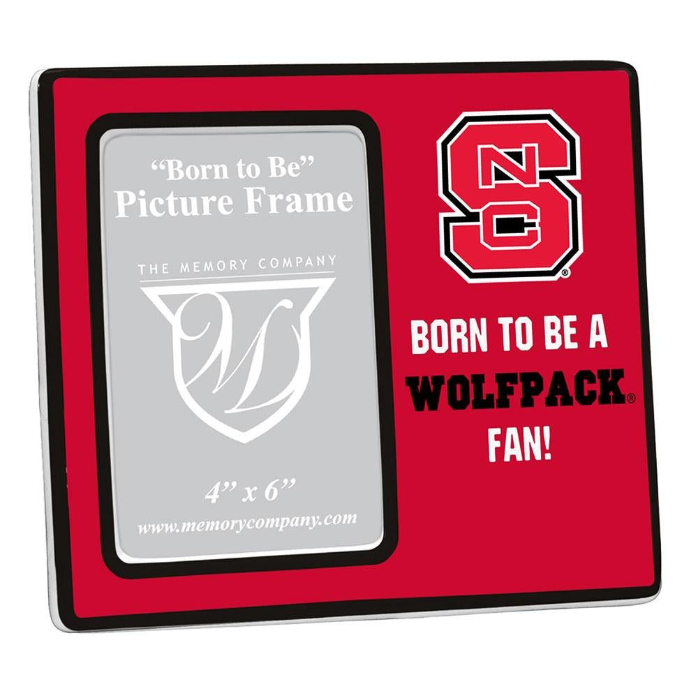 Youth Frame - North Carolina State University